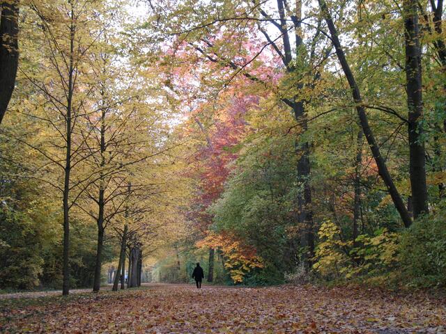 Und auch im Herbst ist die Eilenriede schön und hat ihre Reize. Doch das ist eine andere Geschichte.
