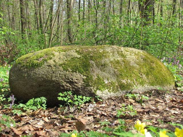 Seit 1935 ein Naturdenkmal. 1,40 Meter langer Findling aus Rapakiwi-Granit von Seltenheitswert in unserer Gegend.