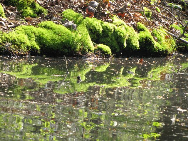 Natur pur.