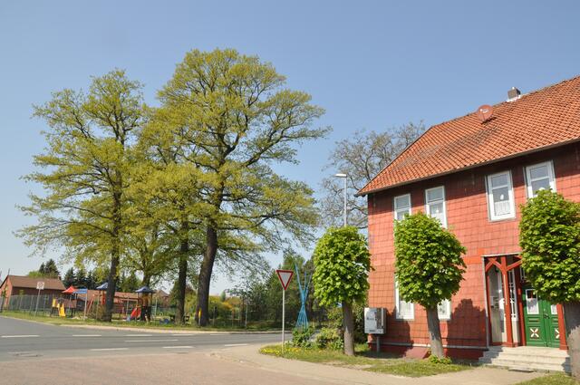Im Detail - Oelerse im Burgdorfer Land