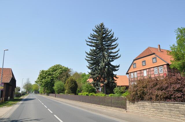 Oelerse im Burgdorfer Land