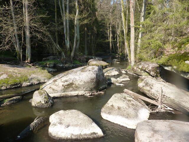 Grantifelsen hemmen den Lauf der Waldnaab