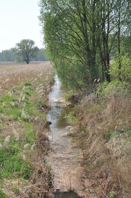 Im Detail - Oelerse im Burgdorfer Land