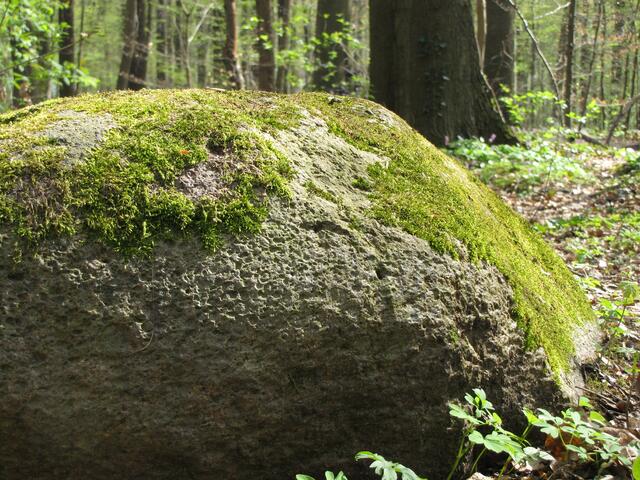 Die Saaleeiszeit transportierte ihn vor 200 000 Jahren von den finnischen Inseln Aland an diesen Ort.