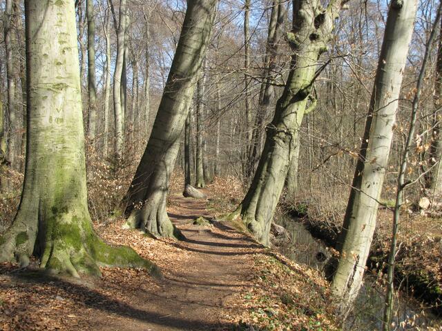 Am Landwehrgraben zwischen Bischofshol und Kirchröder Turm.