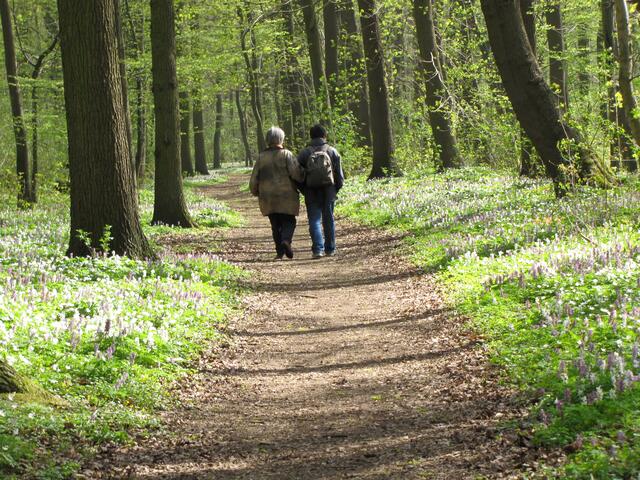 Komm lieber Mai und mache..., das war einmal. Heute ist es der April.