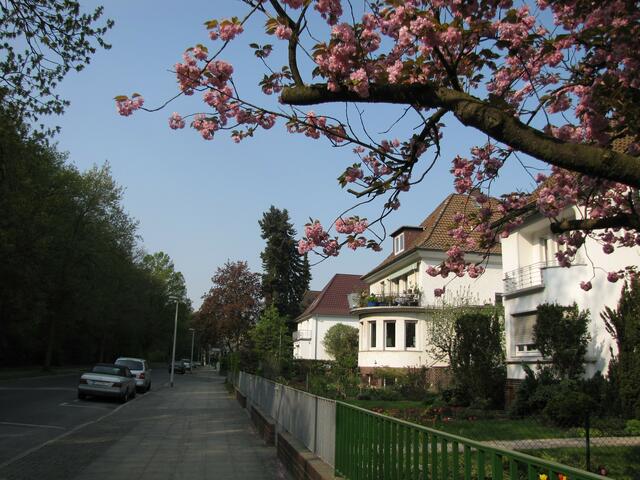 An der Gustav-Brand-Straße wohnte der erste niedersächsischen Ministerpräsident, Hinrich Wilhelm Kopf. Gegenüber in Waldhausen am Eilenriederand wohnt Ex-Bundeskanzler Gerhard Schröder.