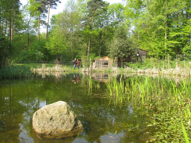Ein Biotop für Amphibien.