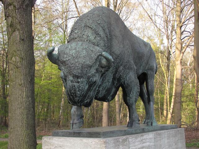 Wo ein Wisent ist, ist der Zoo nicht weit.