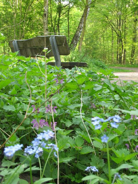 Und überall findet man, ganz anders als am Maschsee, ein freies Plätzchen.