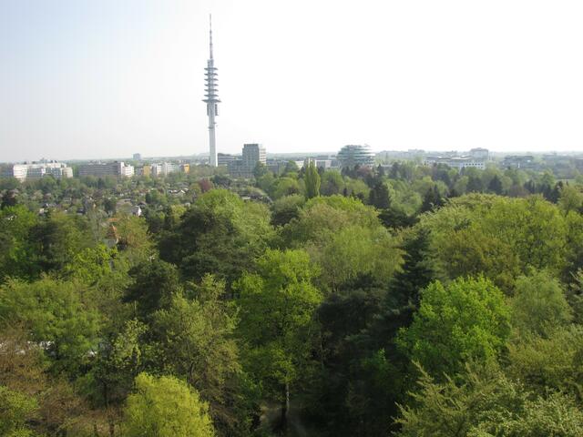 Telemax und Gehirn.