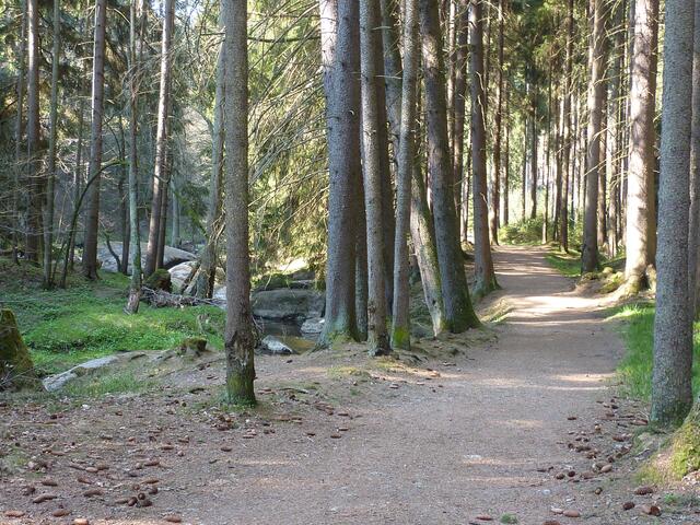 Teils sehr bequeme Wanderwege