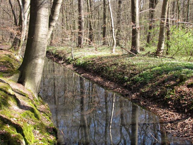 Vor etwa 650 Jahren wurden diese Gräben zum Schutz der Stadt angelegt. Diese Grenzen wurden zusätzlich mit Erdwällen und Dornengestrüpp gesichert.