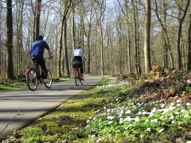 Im April werden die Fahrräder aus dem Keller geholt.