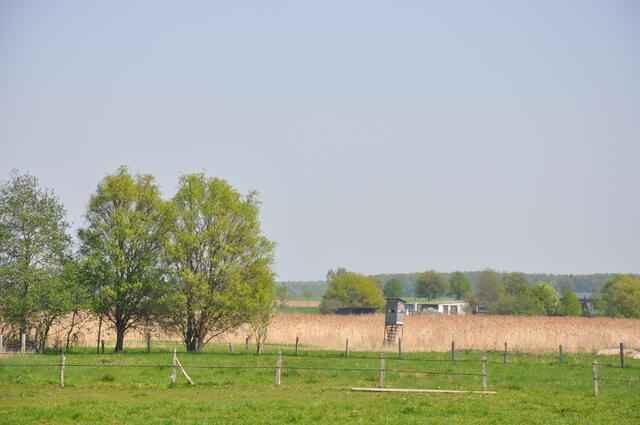 Oelerse im Burgdorfer Land