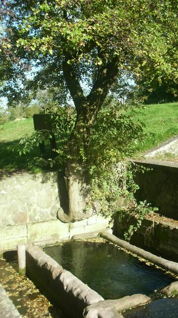 Waschbach an der Amöneburg - Auch Taufstätte des Hl. Bonifatius