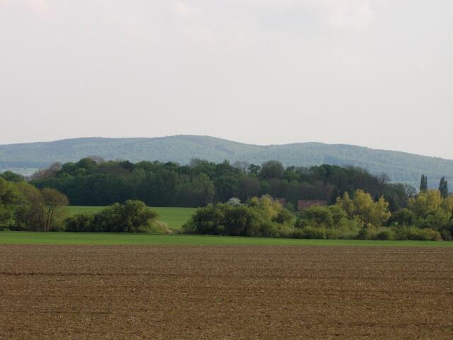 Schon von Weitem gut zu erkennen, der mit Bäumen bestandene Kalkmergelrücken namens Calenberg, der der Feste ihren Namen gab und heute alles andere als kahl ist