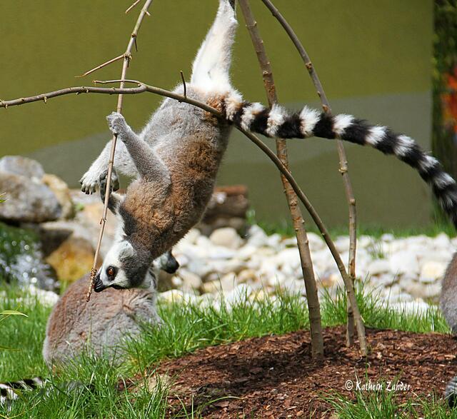 Nee hab gerade die Orientierung verloren