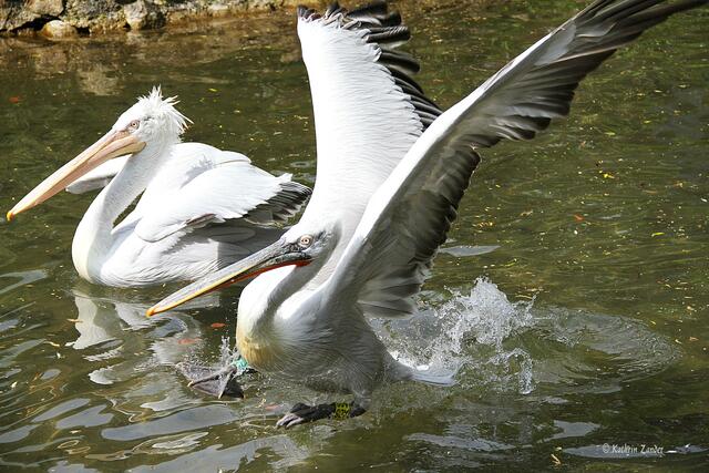Mist ich komm nicht hoch