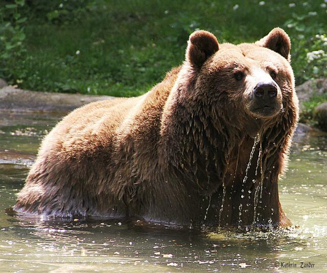 Wie London ohne Regen?