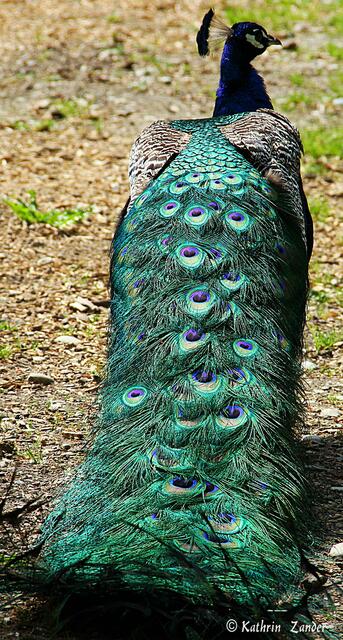 Na dann nicht!!!! schmolllll