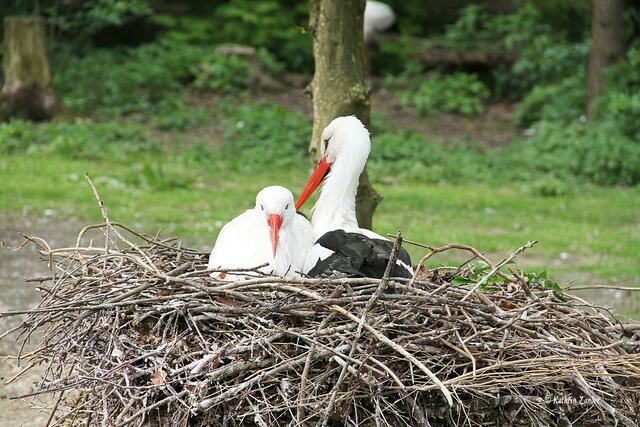 Gemeinsam ist`s viel wärmer
