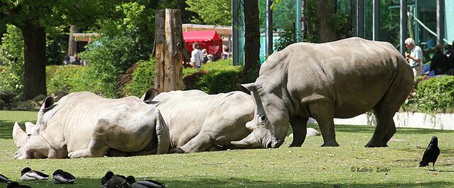 Steh auf Sie kommen!