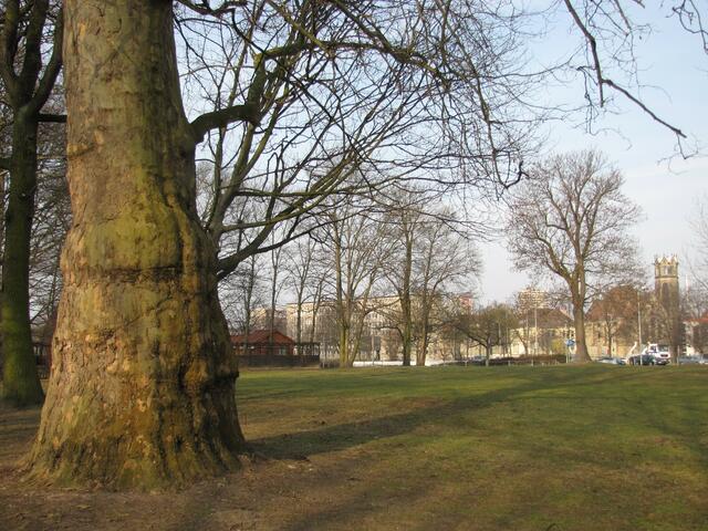 Auf dieser Fläche am Waterlooplatz stand bis 1966 das im Krieg kaum beschädigte Friederikenschlösschen des Grafen von Alten.  Warum wurde es abgerissen?