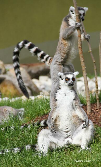 Na wie sieht das Kleid aus? Kannst Du schon was sehen?