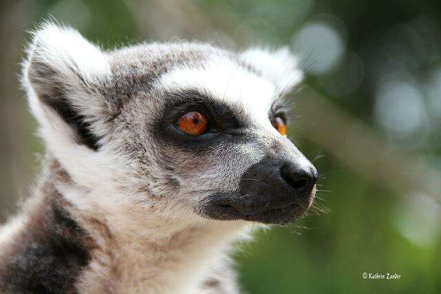 Pah dann eben nicht......
