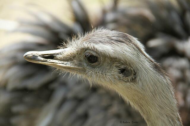 Dann dreh dich nicht so oft