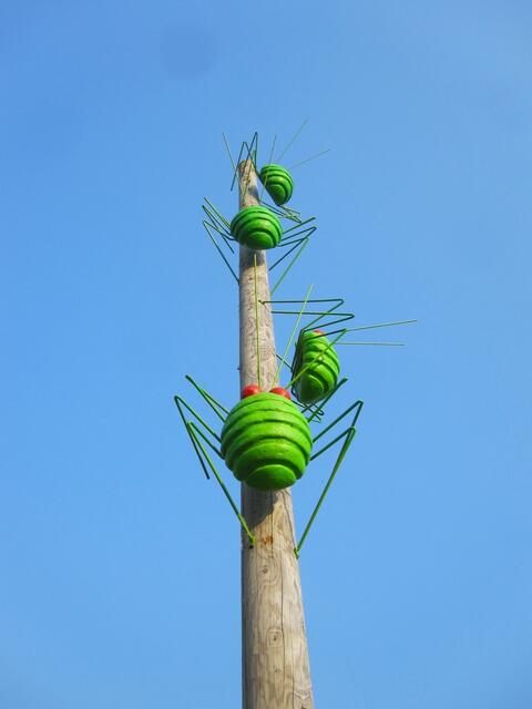 Die altbekannten Läuse der Gartenregion Hannover