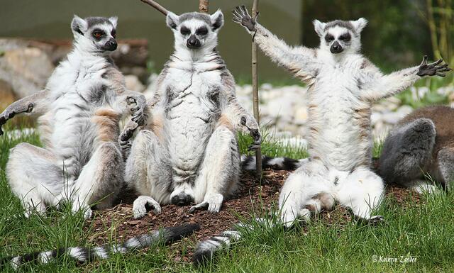 Die Schleppe war sooooooo lang