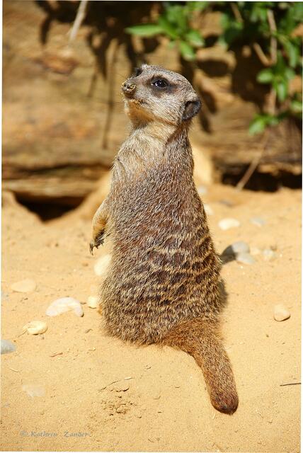 Nicht schlecht die neue Prinzessin