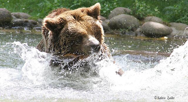 na dann mach ich eben welchen