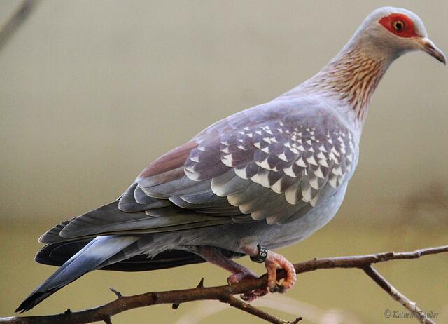 Na auch Gelb ist doch klar.