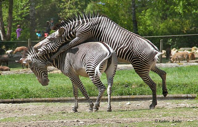 bleib endlich stehen
