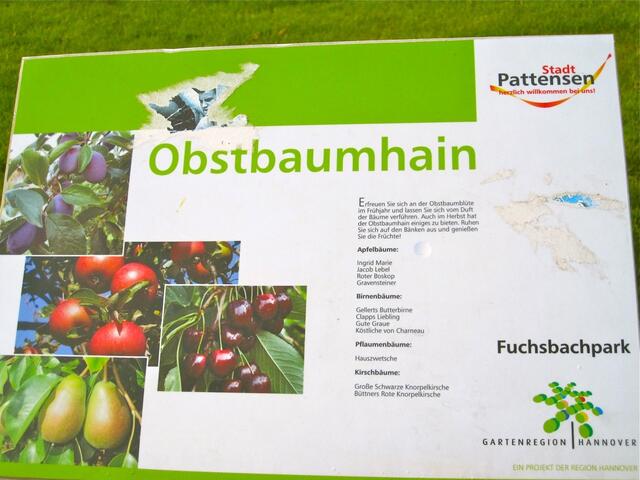 Der Obstbaumhain - die Bäume sind alle noch sehr jung und klein