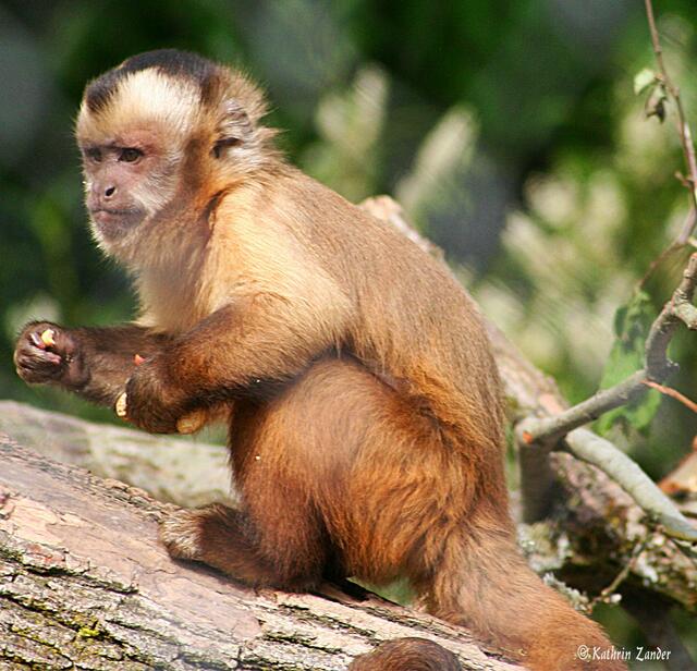der hat wohl keinen Spiegel