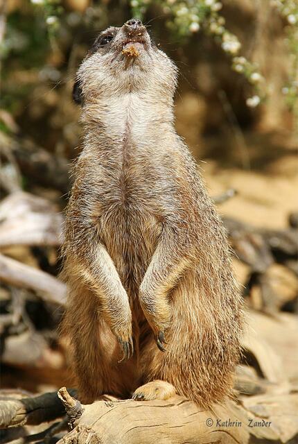 OHHH wann kommst Du?