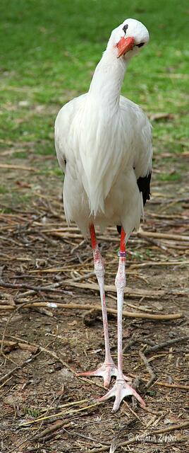 Ohh ich glaub ich muß mal wieder Füße waschen