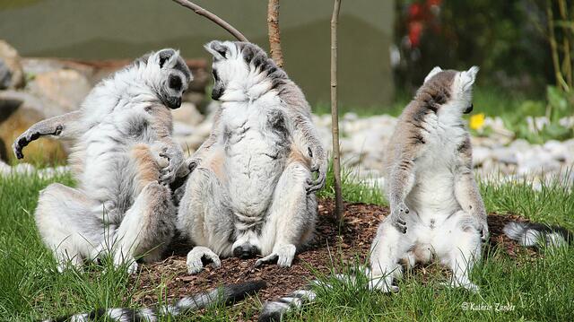 Der übertreibt mal wieder. Wetten?