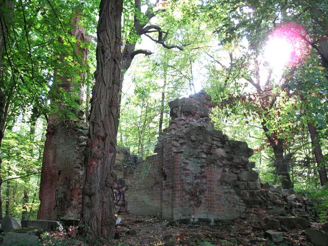 Die Mausoleumsruine Graf Carl von Altens im Naturschutzgebiet Sundern