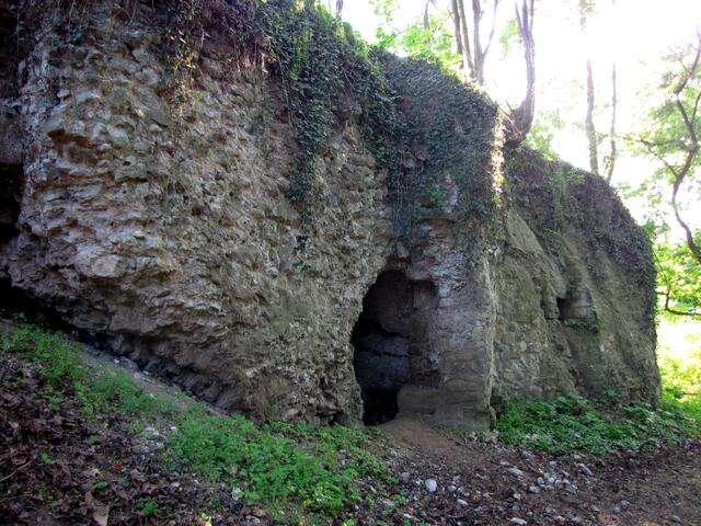 Die Ruine der Feste Calenberg
