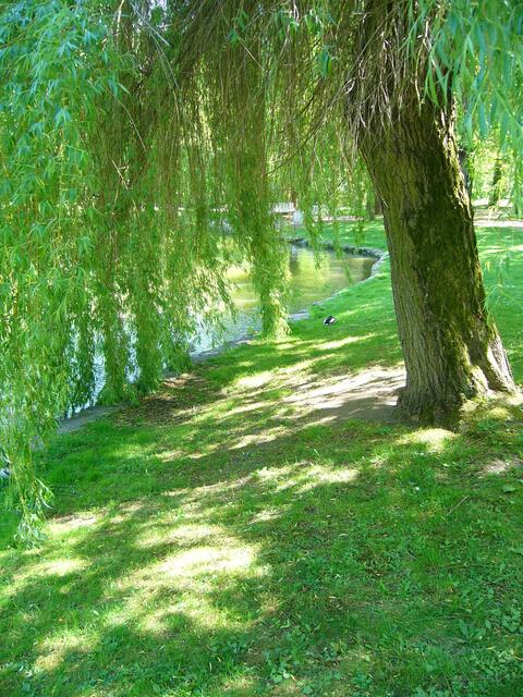 Kurpark