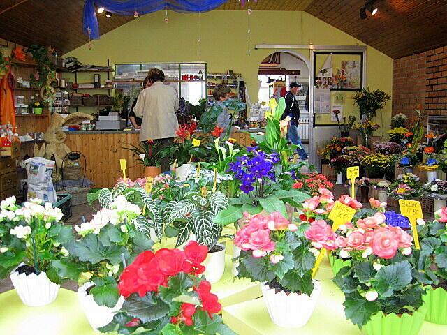 Vielzahl der Blumen- und Pflanzenangebote