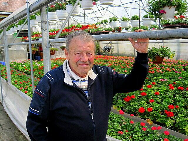 Martin Weiße an einem Geranienzelt mit Blumenampeln