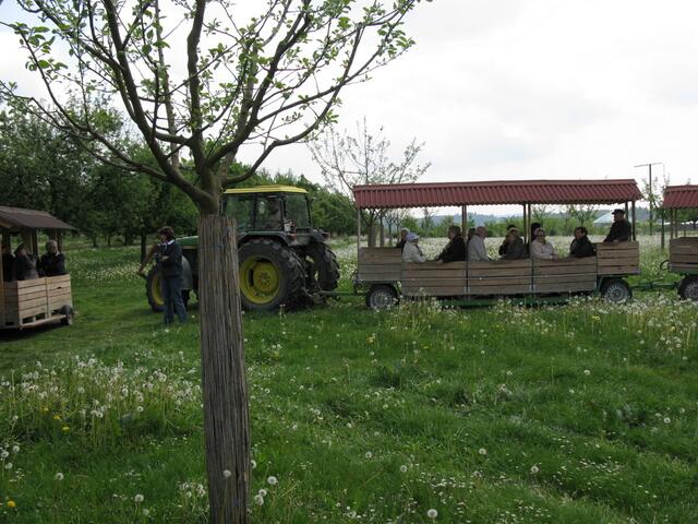 Erster und letzter Wagen in der Apfelplantage.