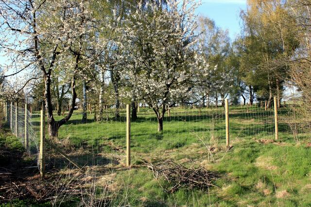 22.04.2010: Ein Zaun ist die erste Veränderung an dem Gelände