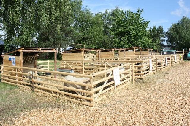 01.06.2010: Gehege mit Schafen